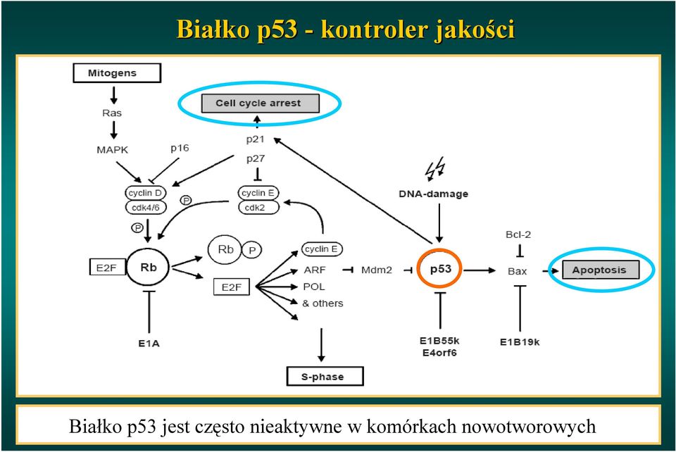 jest często nieaktywne