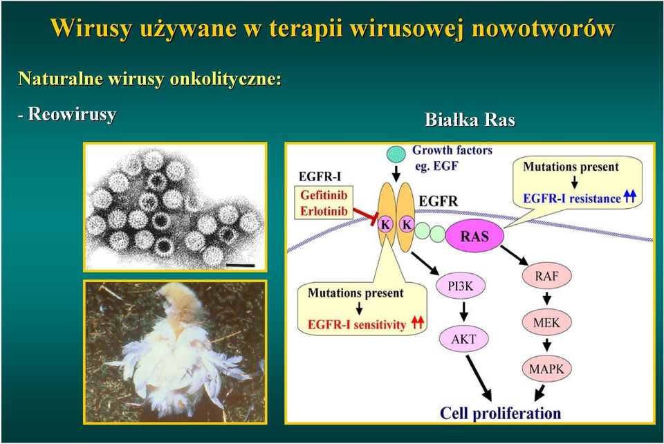 Naturalne wirusy