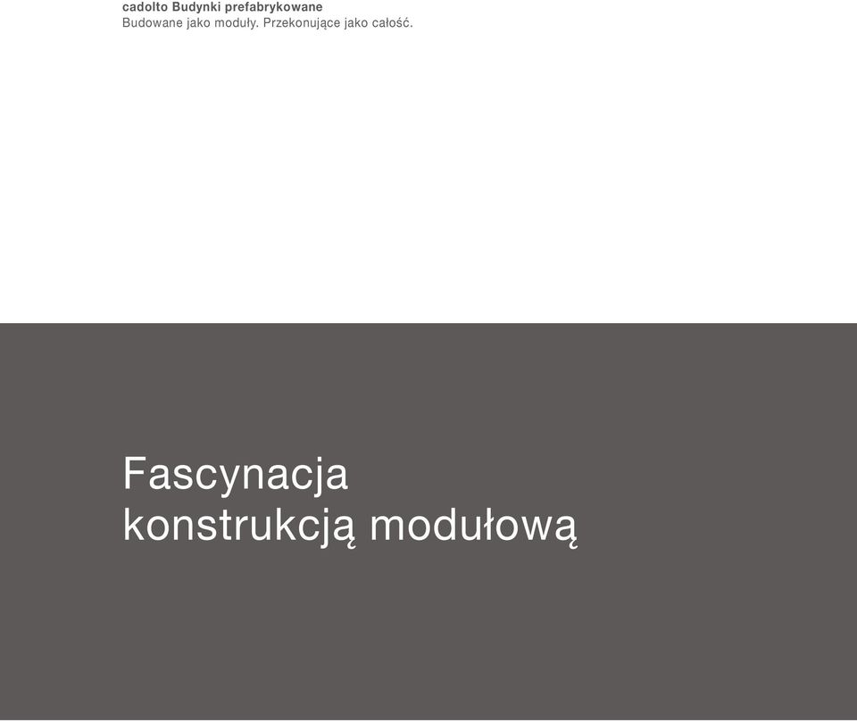 Fascynacja