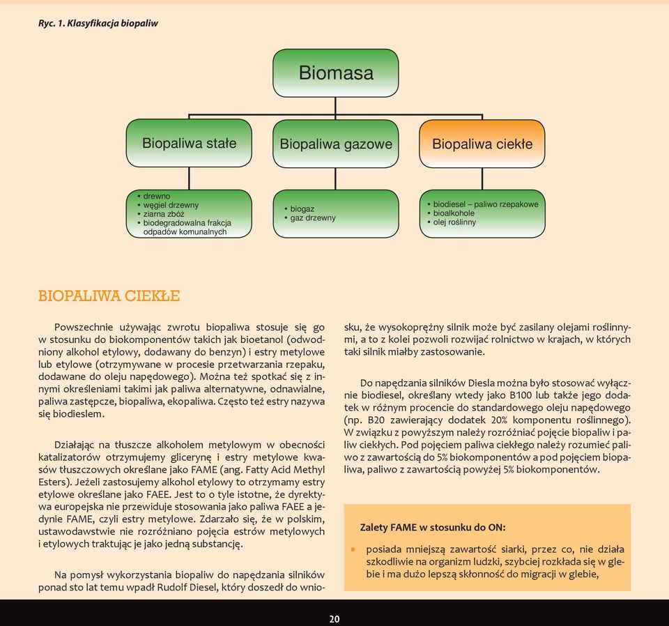 rzepakowe bioalkohole olej roślinny Biopaliwa ciekłe Powszechnie używając zwrotu biopaliwa stosuje się go w stosunku do biokomponentów takich jak bioetanol (odwodniony alkohol etylowy, dodawany do