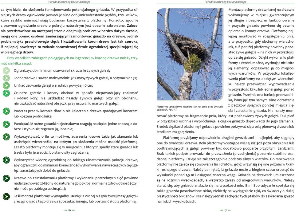 Zalecenia przedstawione na następnej stronie obejmują problem w bardzo dużym skrócie, mogą one pomóc osobom zamierzającym zamontować gniazdo na drzewie, jednak problematyka prawidłowego cięcia i