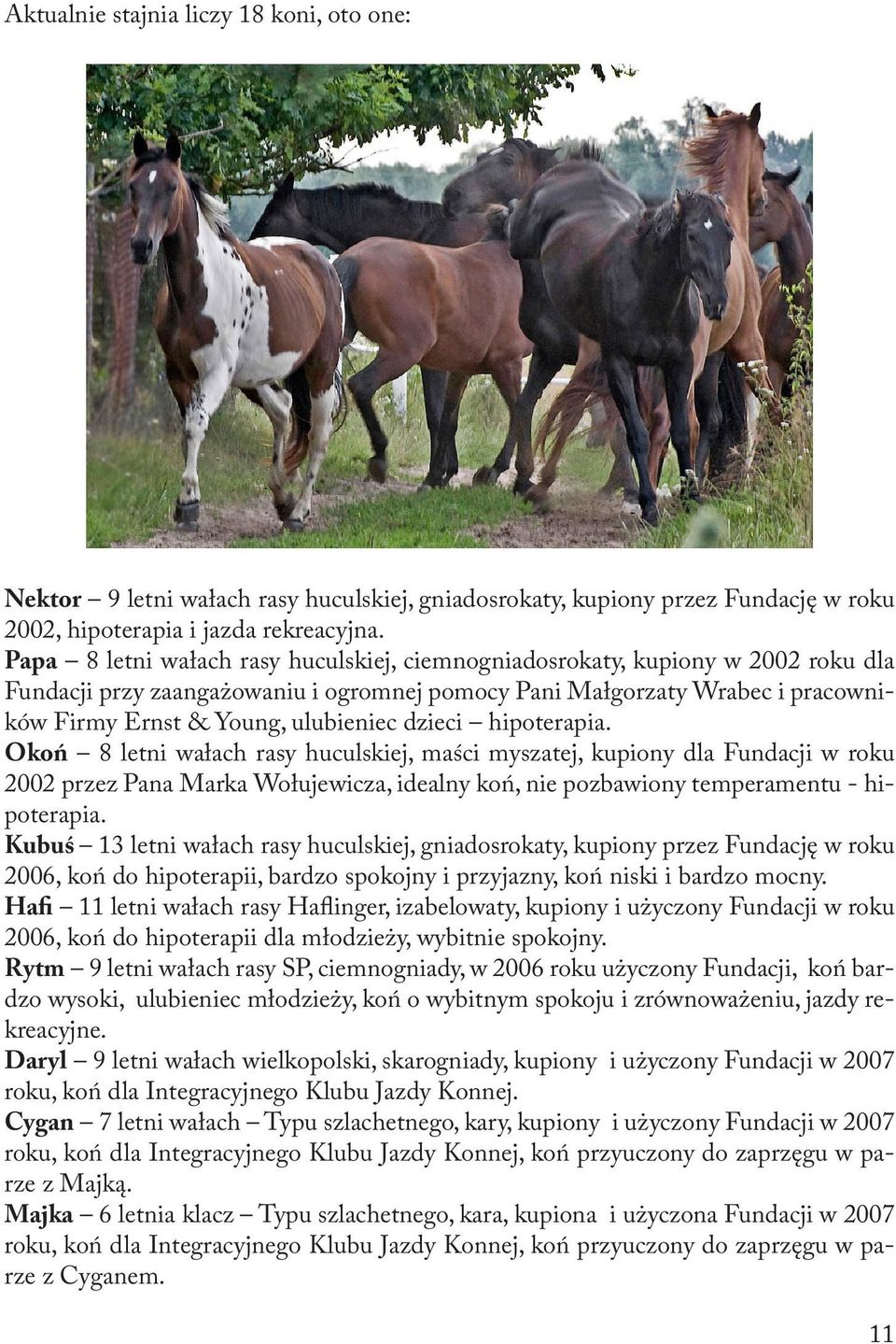 dzieci hipoterapia. Okoń 8 letni wałach rasy huculskiej, maści myszatej, kupiony dla Fundacji w roku 2002 przez Pana Marka Wołujewicza, idealny koń, nie pozbawiony temperamentu - hipoterapia.