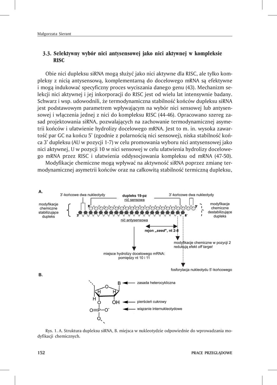 docelowego mrna s¹ efektywne i mog¹ indukowaæ specyficzny proces wyciszania danego genu (43). Mechanizm selekcji nici aktywnej i jej inkorporacji do RISC jest od wielu lat intensywnie badany.