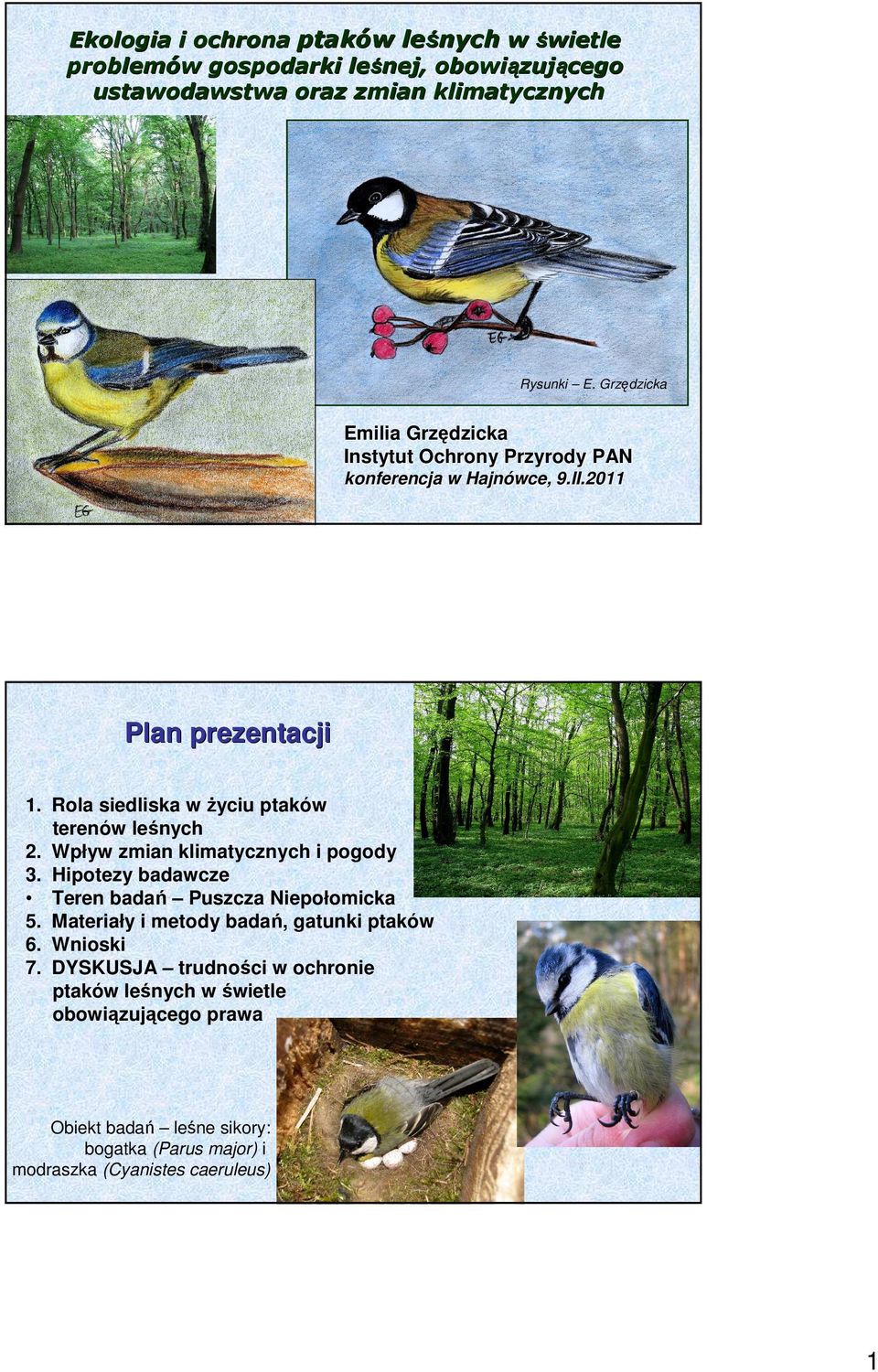 Rola siedliska w życiu ptaków terenów leśnych 2. Wpływ zmian klimatycznych i pogody 3. Hipotezy badawcze Teren badań Puszcza Niepołomicka 5.