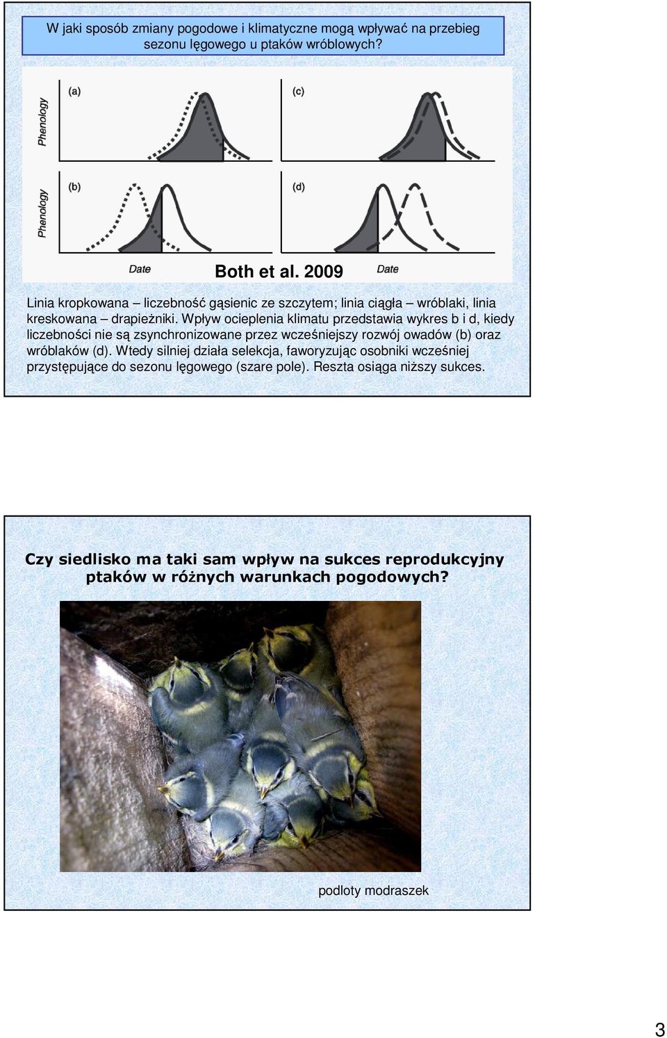 Wpływ ocieplenia klimatu przedstawia wykres b i d, kiedy liczebności nie są zsynchronizowane przez wcześniejszy rozwój owadów (b) oraz wróblaków (d).