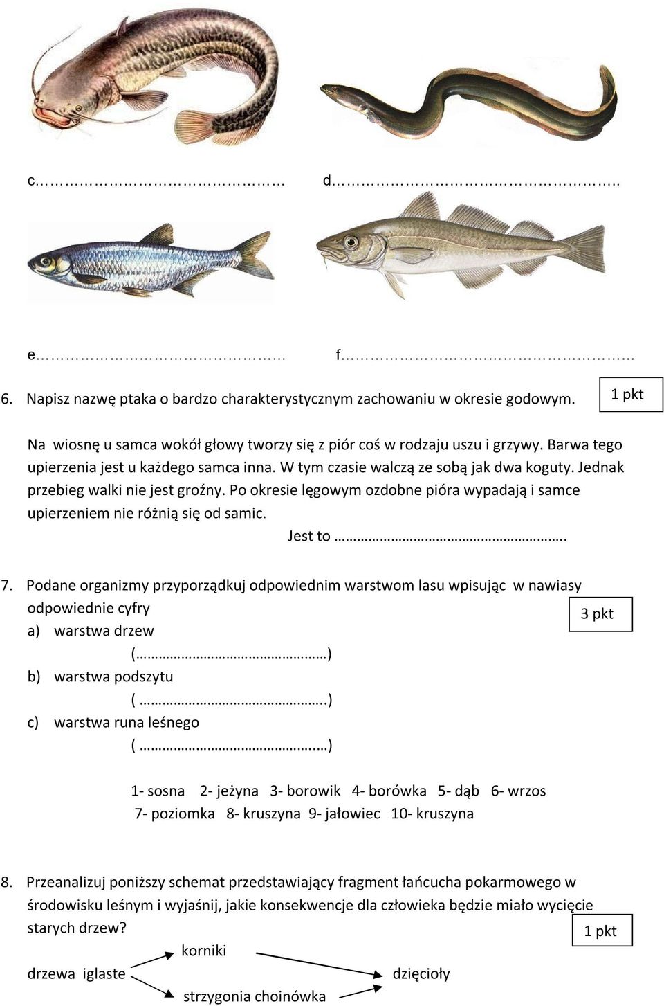 Po okresie lęgowym ozdobne pióra wypadają i samce upierzeniem nie różnią się od samic. Jest to.. 7.