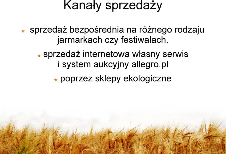 sprzedaż internetowa własny serwis i system