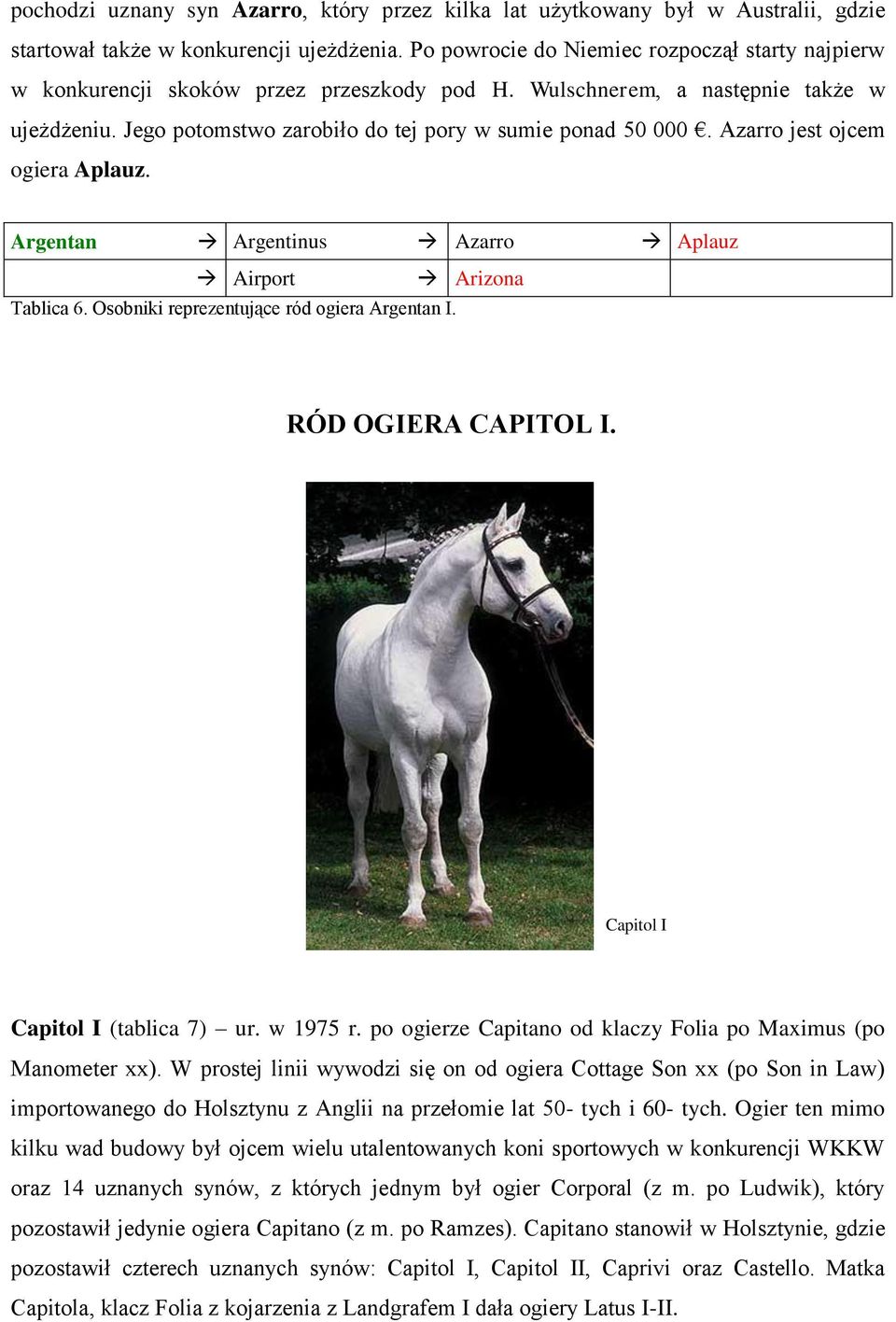 Azarro jest ojcem ogiera Aplauz. Argentan Argentinus Azarro Aplauz Airport Arizona Tablica 6. Osobniki reprezentujące ród ogiera Argentan I. RÓD OGIERA CAPITOL I. Capitol I Capitol I (tablica 7) ur.