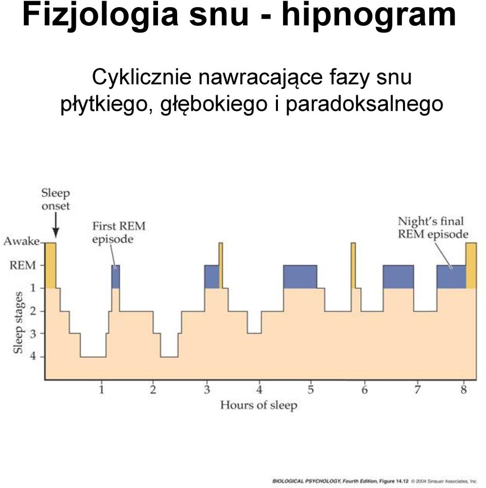 nawracające fazy snu