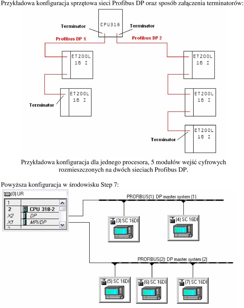 jednego procesora, 5 modułów wejść cyfrowych rozmieszczonych na