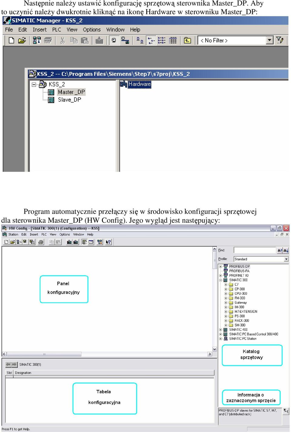 Master_DP: Program automatycznie przełączy się w środowisko konfiguracji