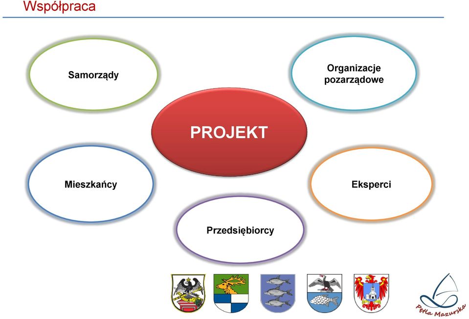 pozarządowe PROJEKT