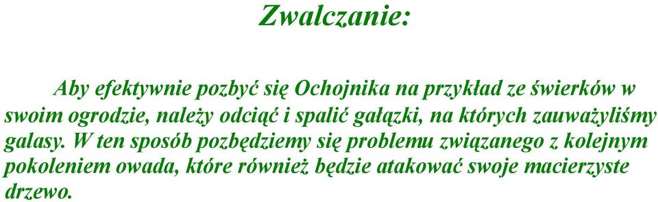 zauważyliśmy galasy.