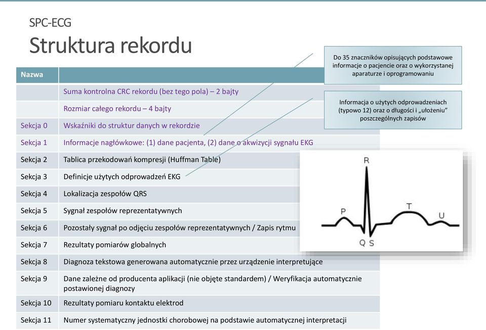 dane o akwizycji sygnału EKG Tablica przekodowań kompresji (Huffman Table) Definicje użytych odprowadzeń EKG Lokalizacja zespołów QRS Sygnał zespołów reprezentatywnych Pozostały sygnał po odjęciu