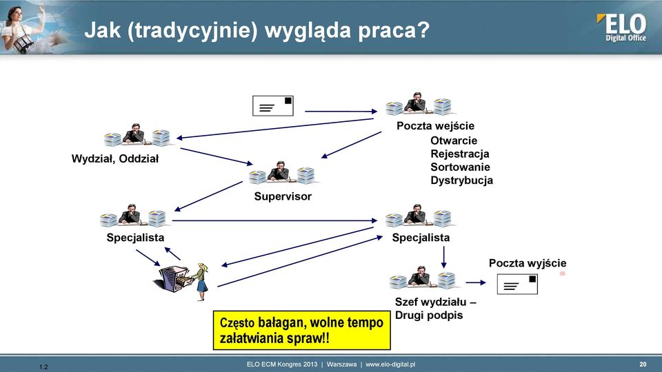 Rejestracja Sortowanie Dystrybucja Specjalista Specjalista