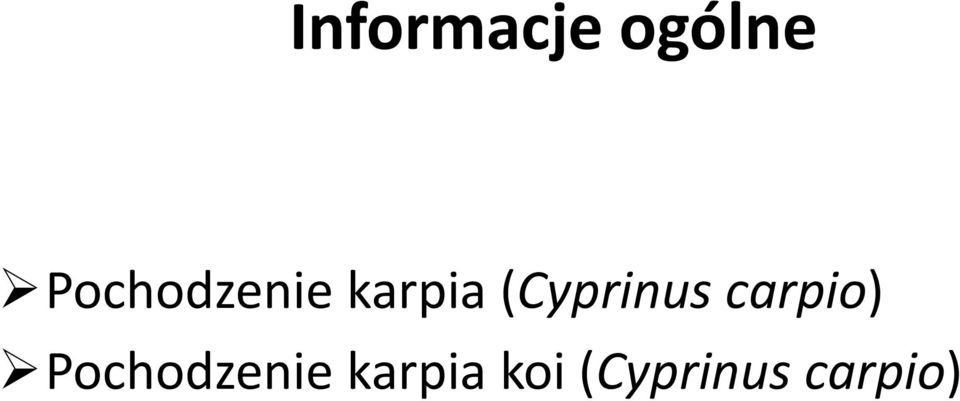 (Cyprinus carpio)  koi