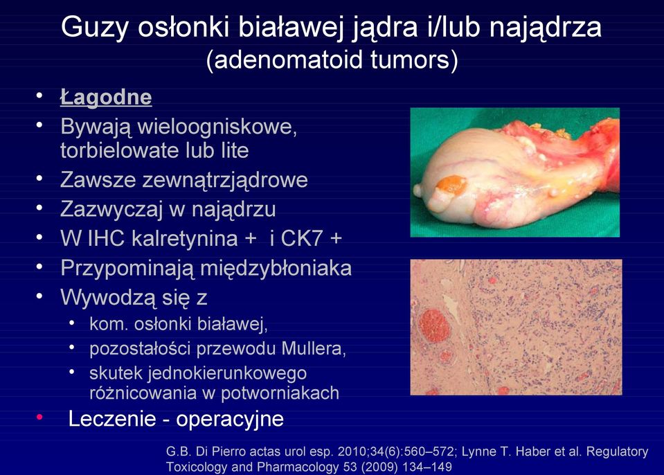 osłonki białawej, pozostałości przewodu Mullera, skutek jednokierunkowego różnicowania w potworniakach Leczenie -