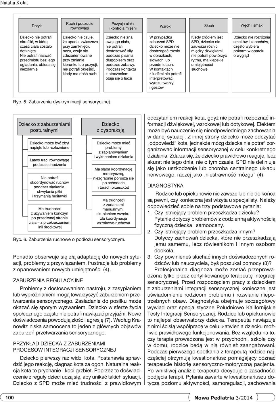 Z innej strony dziecko może odczytać odpowiedź kota, jednakże mózg dziecka nie potrafi zorganizować informacji sensorycznej w celu konkretnego działania.