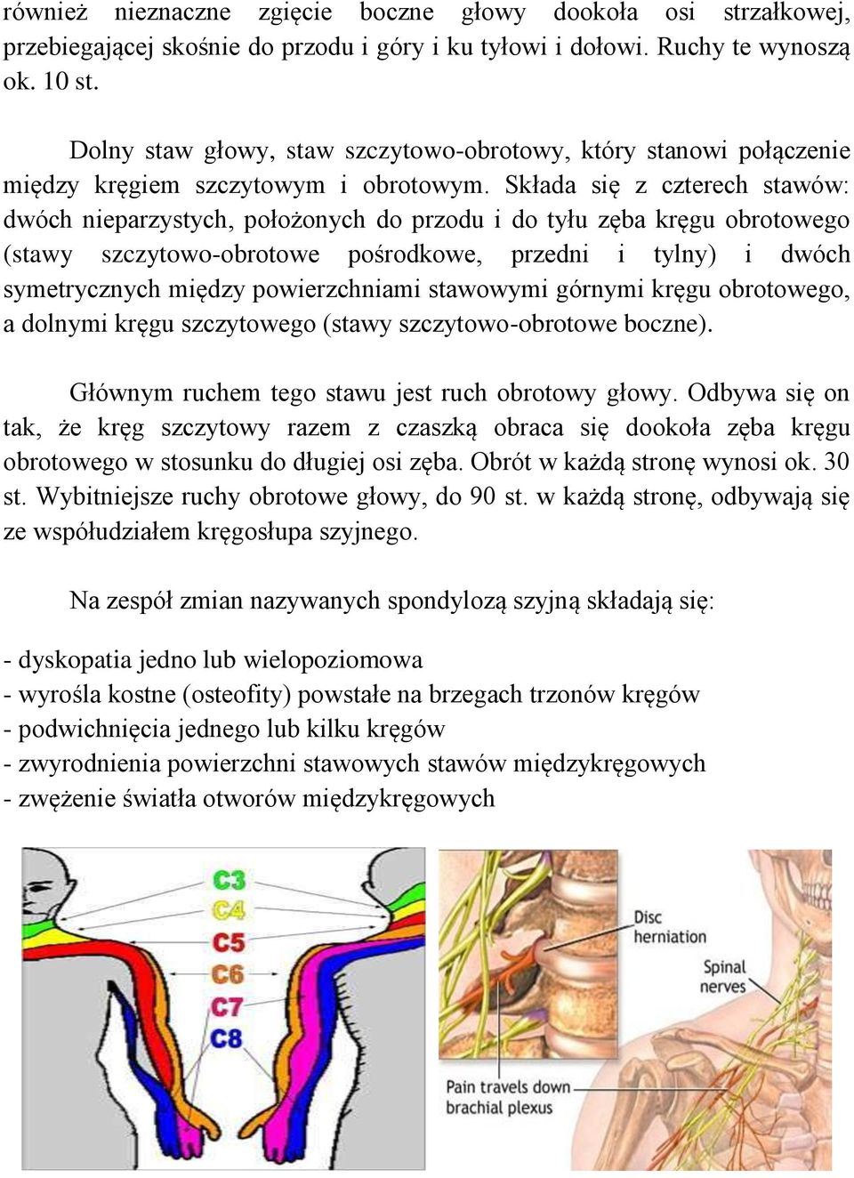 Składa się z czterech stawów: dwóch nieparzystych, położonych do przodu i do tyłu zęba kręgu obrotowego (stawy szczytowo-obrotowe pośrodkowe, przedni i tylny) i dwóch symetrycznych między