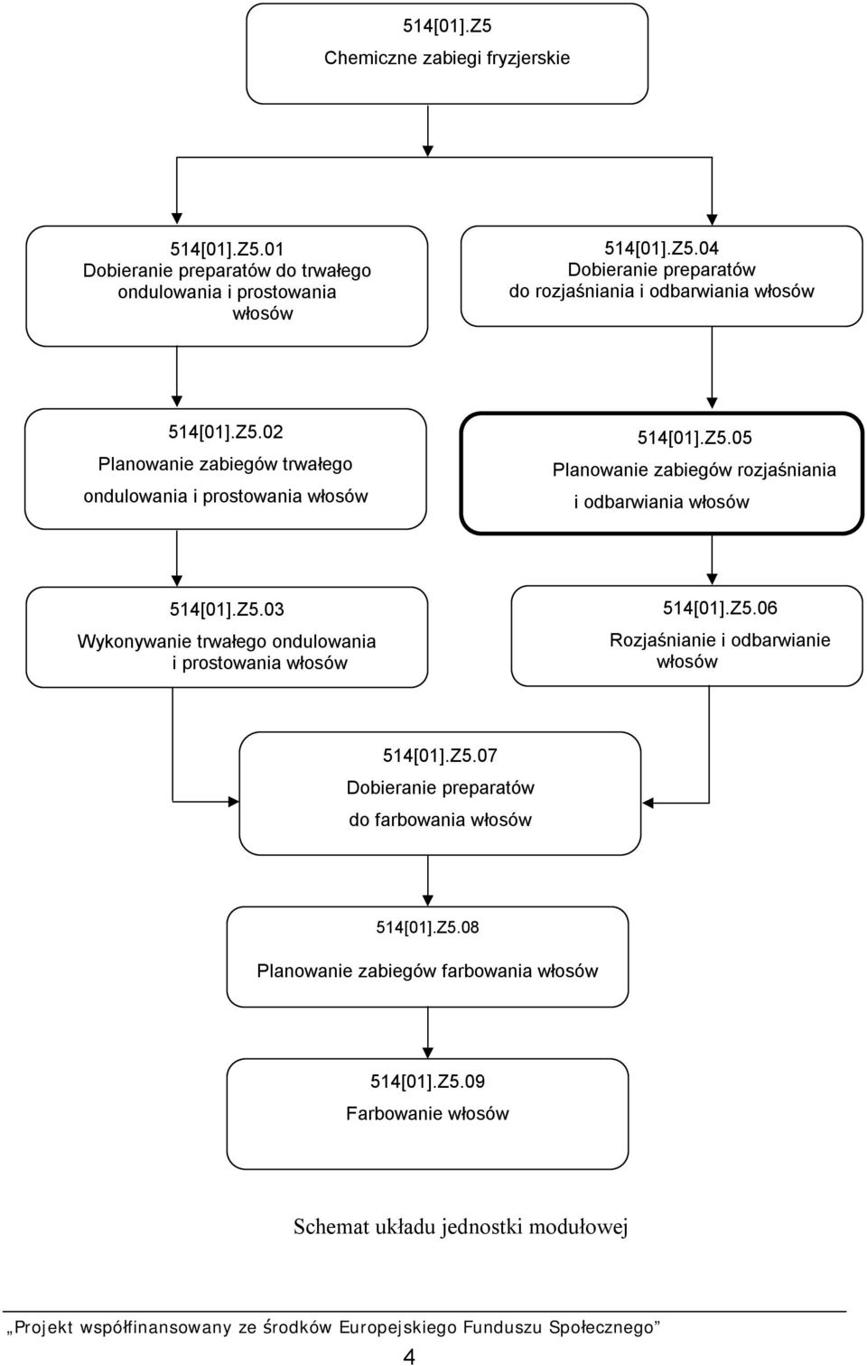 Z5.06 Rozjaśnianie i odbarwianie włosów 514[01].Z5.07 Dobieranie preparatów do farbowania włosów 514[01].Z5.08 Planowanie zabiegów farbowania włosów 514[01].