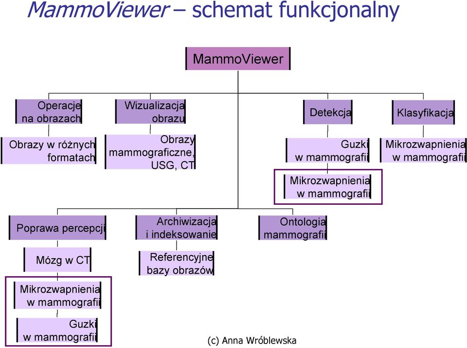 Mikrozwapnienia w mammografii Mikrozwapnienia w mammografii Poprawa percepcji Archiwizacja i