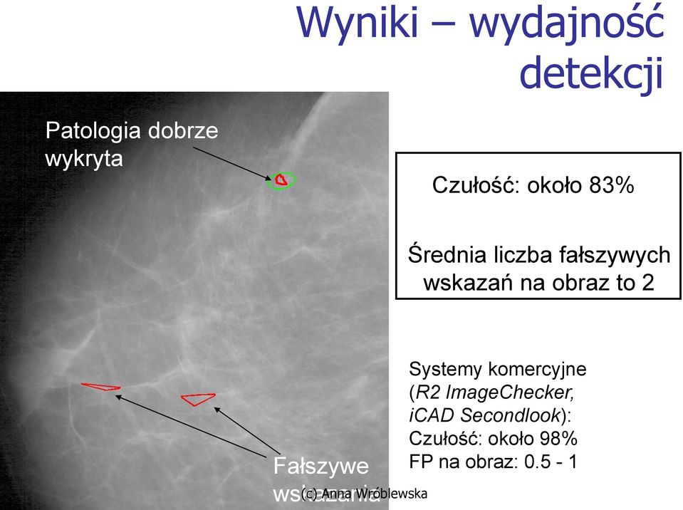 obraz to 2 Fałszywe wskazania Systemy komercyjne (R2