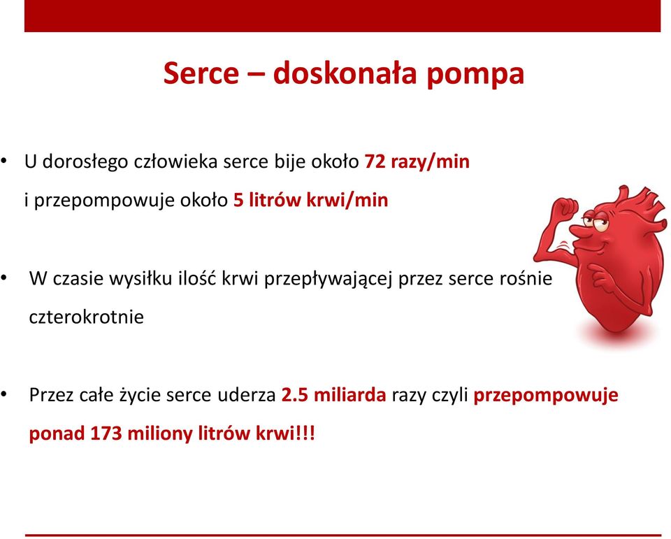 przepływającej przez serce rośnie czterokrotnie Przez całe życie serce