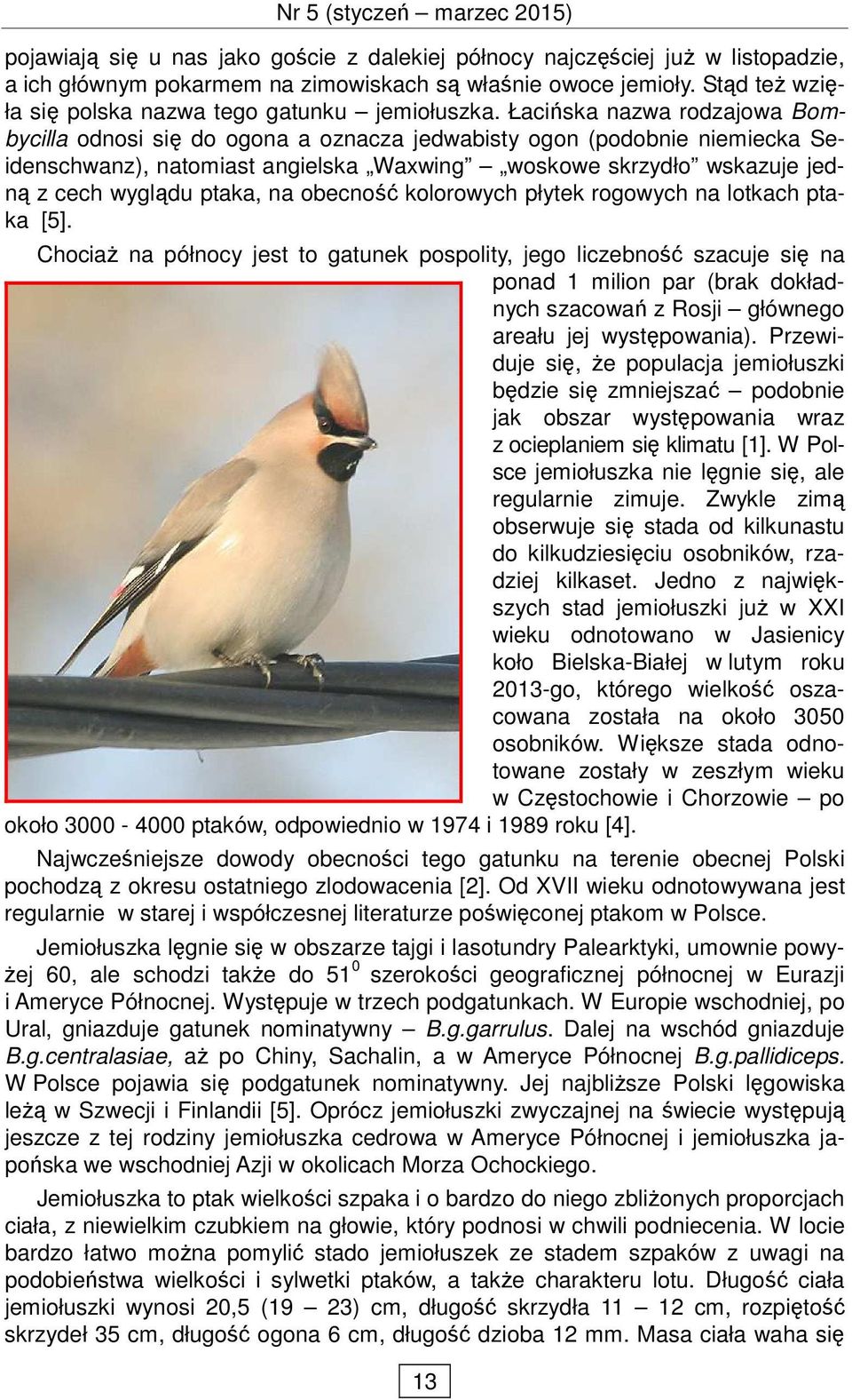 Łacińska nazwa rodzajowa Bombycilla odnosi się do ogona a oznacza jedwabisty ogon (podobnie niemiecka Seidenschwanz), natomiast angielska Waxwing woskowe skrzydło wskazuje jedną z cech wyglądu ptaka,