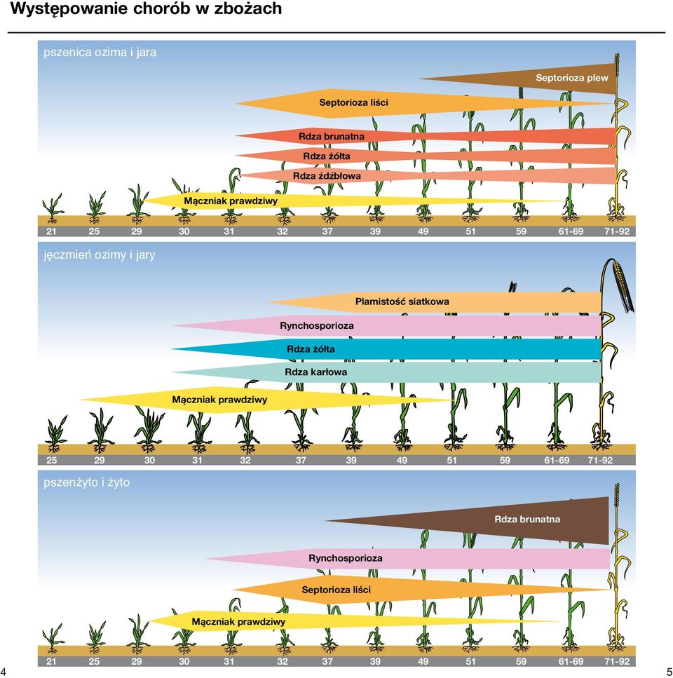 Rynchosporioza Rdza żółta Rdza karłowa Mączniak prawdziwy 25 29 30 31 32 37 39 49 51 59 61-69 71-92 pszenżyto i