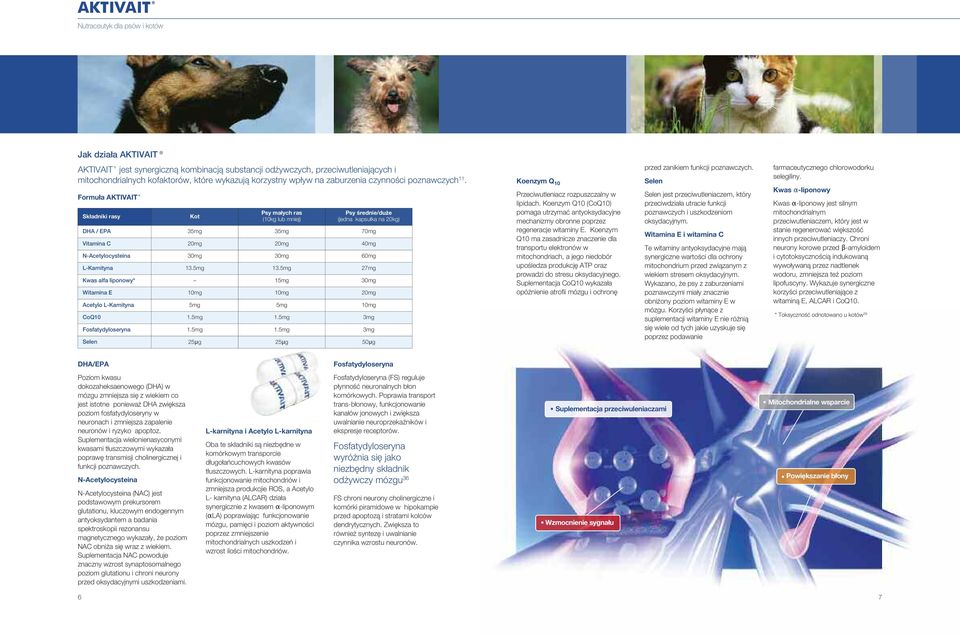 5mg 27mg Kwas alfa liponowy* 15mg 3mg Witamina E 1mg 1mg 2mg cetylo L-Karnityna 5mg 5mg 1mg CoQ1 mg mg 3mg Fosfatydyloseryna mg mg 3mg Selen 25μg 25μg 5μg Koenzym Q 1 rzeciwutleniacz rozpuszczalny w
