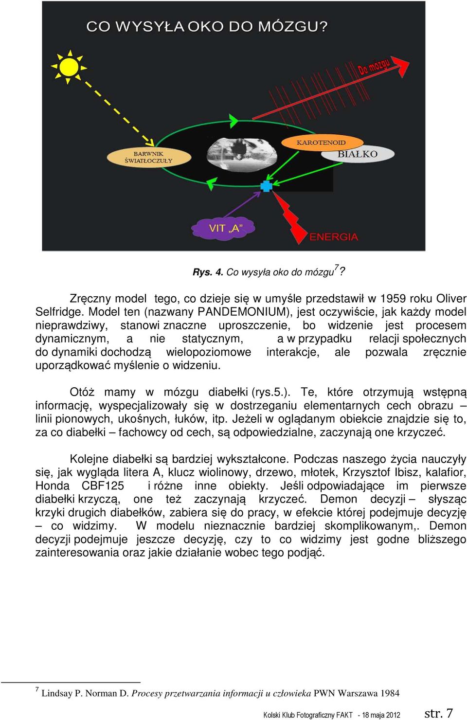 społecznych do dynamiki dochodzą wielopoziomowe interakcje, ale pozwala zręcznie uporządkować myślenie o widzeniu. Otóż mamy w mózgu diabełki (rys.5.).