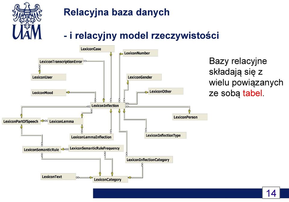 Bazy relacyjne składają się z