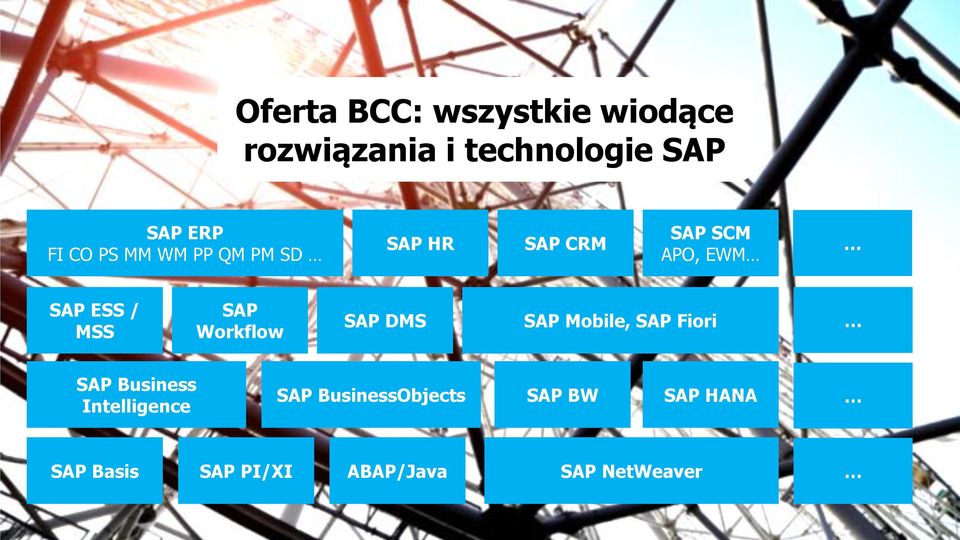 SAP DMS SAP Mobile, SAP Fiori SAP Business Intelligence SAP BusinessObjects