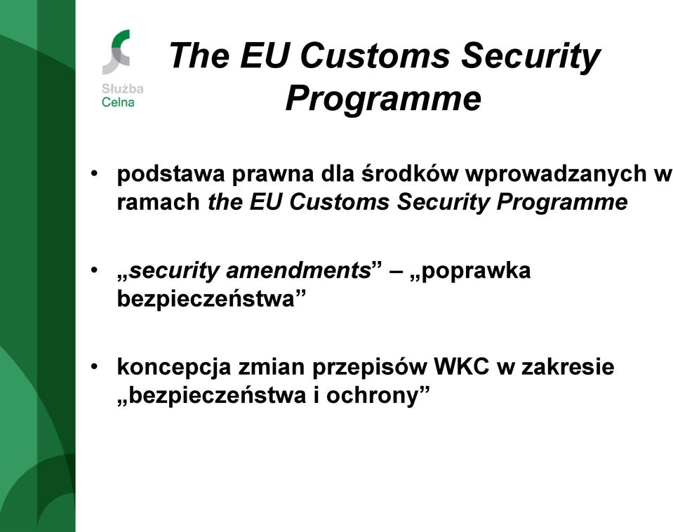 Programme security amendments poprawka bezpieczeństwa