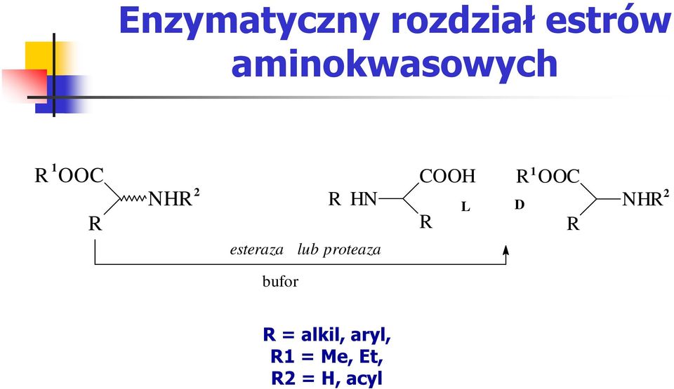 L D R R R NHR 2 2 esteraza lub