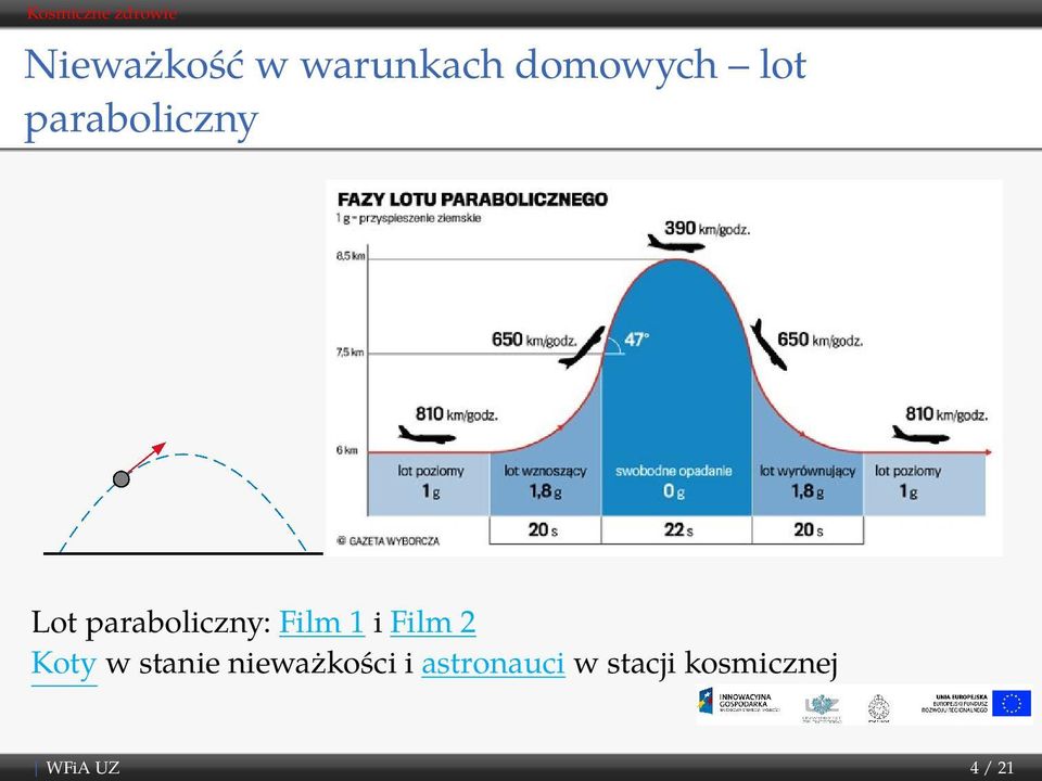 i Film 2 Koty w stanie nieważkości i