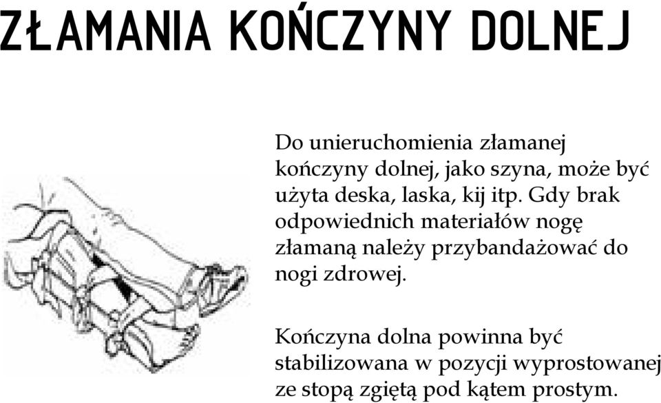 Gdy brak odpowiednich materiałów nogę złamaną należy przybandażować do nogi