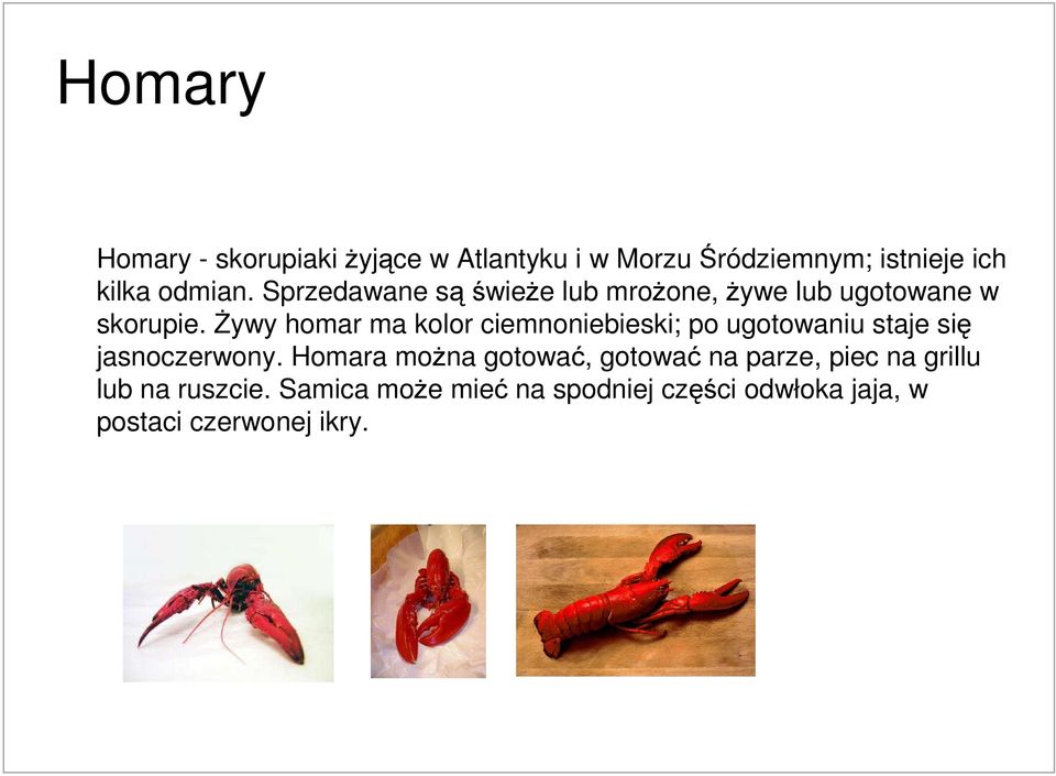 śywy homar ma kolor ciemnoniebieski; po ugotowaniu staje się jasnoczerwony.