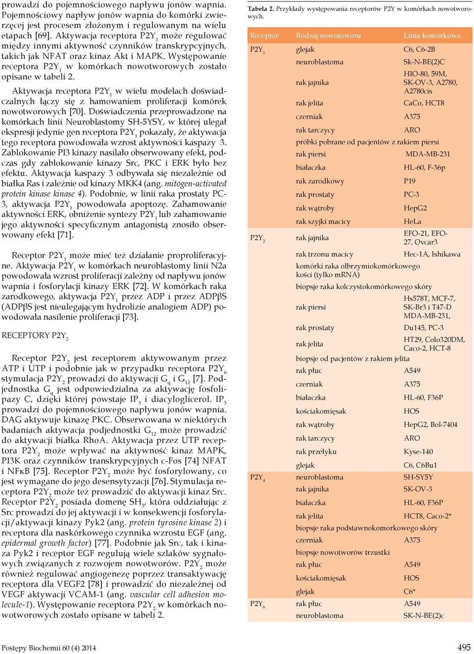 Występowanie receptora P2Y 1 w komórkach nowotworowych zostało opisane w tabeli 2.