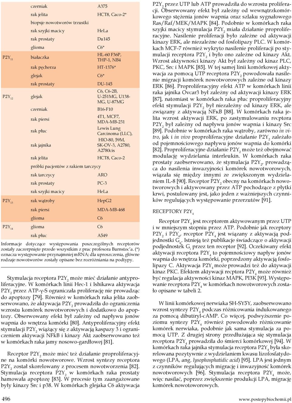 Caco-2 ARO PC-3 HeLa P2Y 13 rak wątroby HepG2 glioma MDA-MB-468 Stymulacja receptora może mieć działanie antyproliferacyjne.
