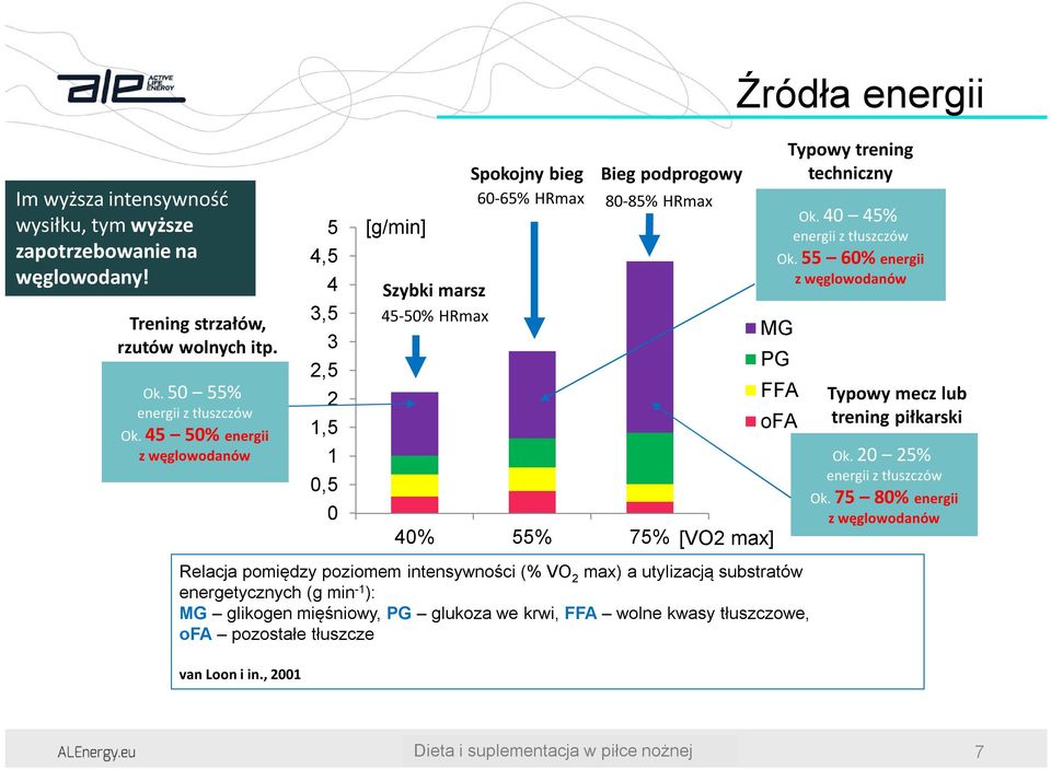 substratów energetycznych (g min -1 ): MG glikogen mięśniowy, PG glukoza we krwi, FFA wolne kwasy tłuszczowe, ofa pozostałe tłuszcze van Loon i in.