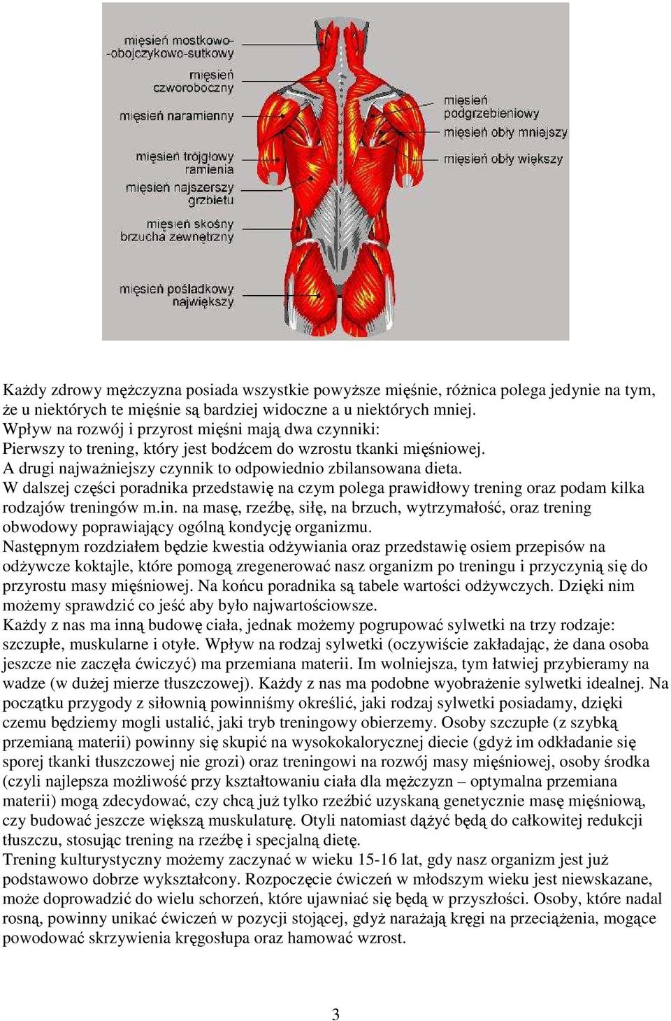 W dalszej części poradnika przedstawię na czym polega prawidłowy trening oraz podam kilka rodzajów treningów m.in. na masę, rzeźbę, siłę, na brzuch, wytrzymałość, oraz trening obwodowy poprawiający ogólną kondycję organizmu.