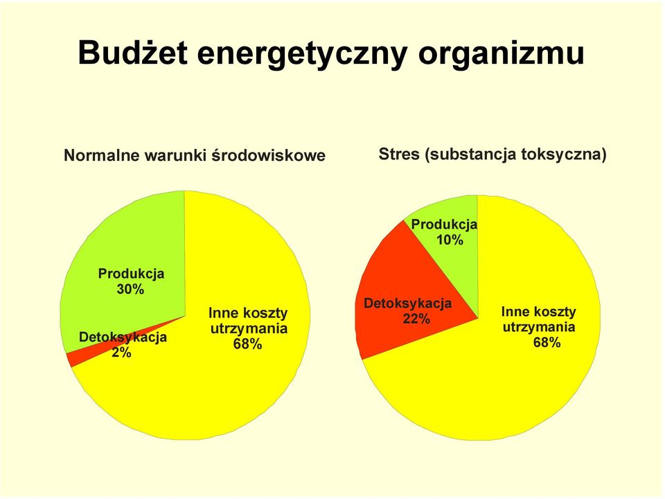 Produkcja 1% Produkcja 3% Detoksykacja 2% Inne