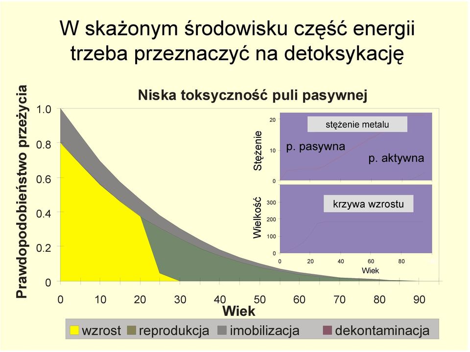 2 Niska toksyczność puli pasywnej concentration size 2 1 concentration of metal stężenie metalu