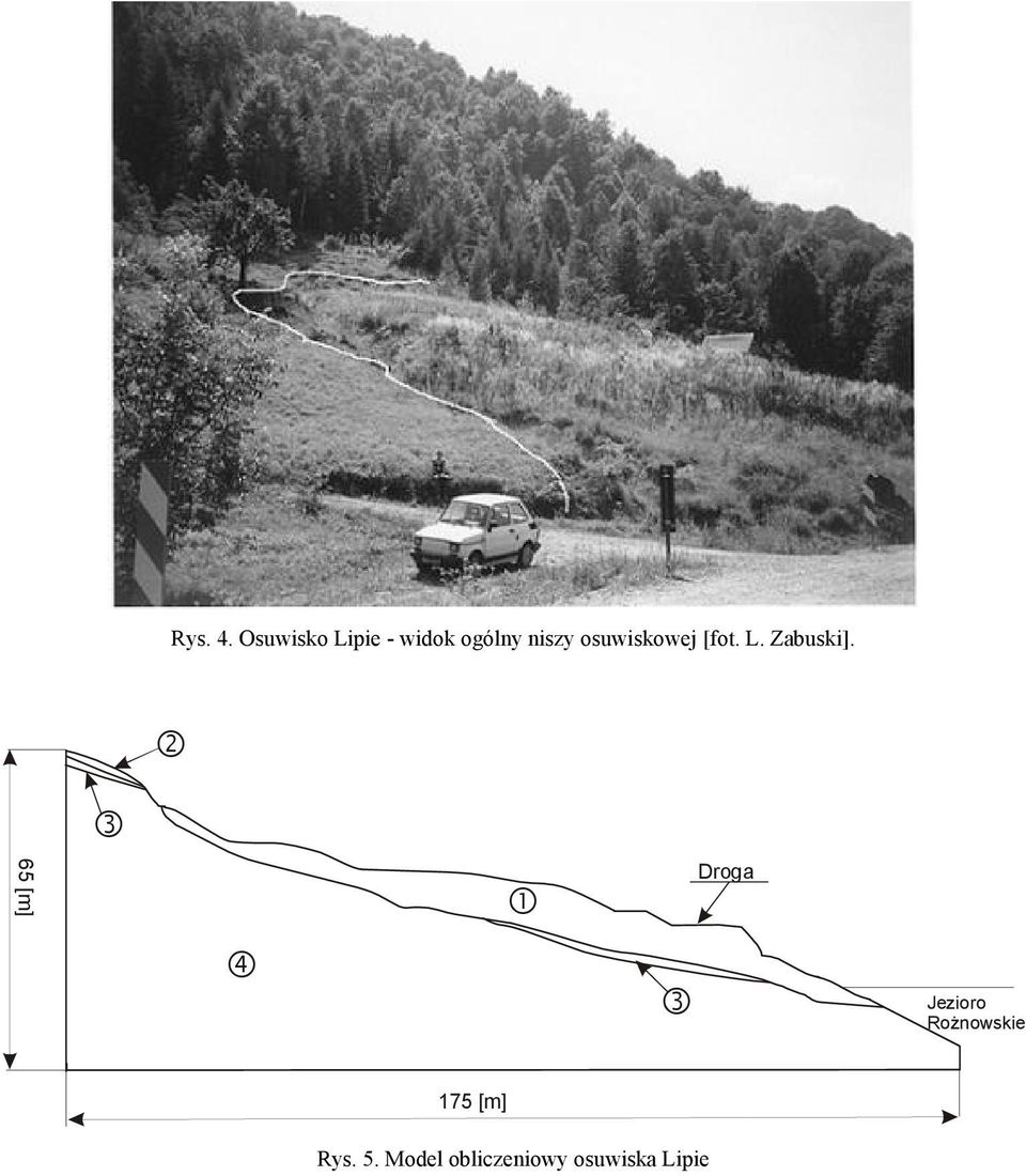 osuwiskowej [fot. L. Zabuski].
