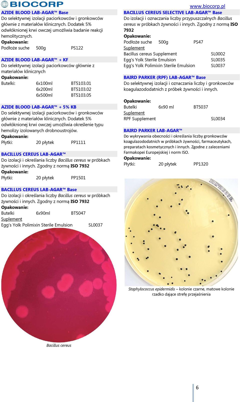 05 AZIDE BLOOD LAB-AGAR + 5% KB Do selektywnej izolacji paciorkowców i gronkowców głównie z materiałów klinicznych.