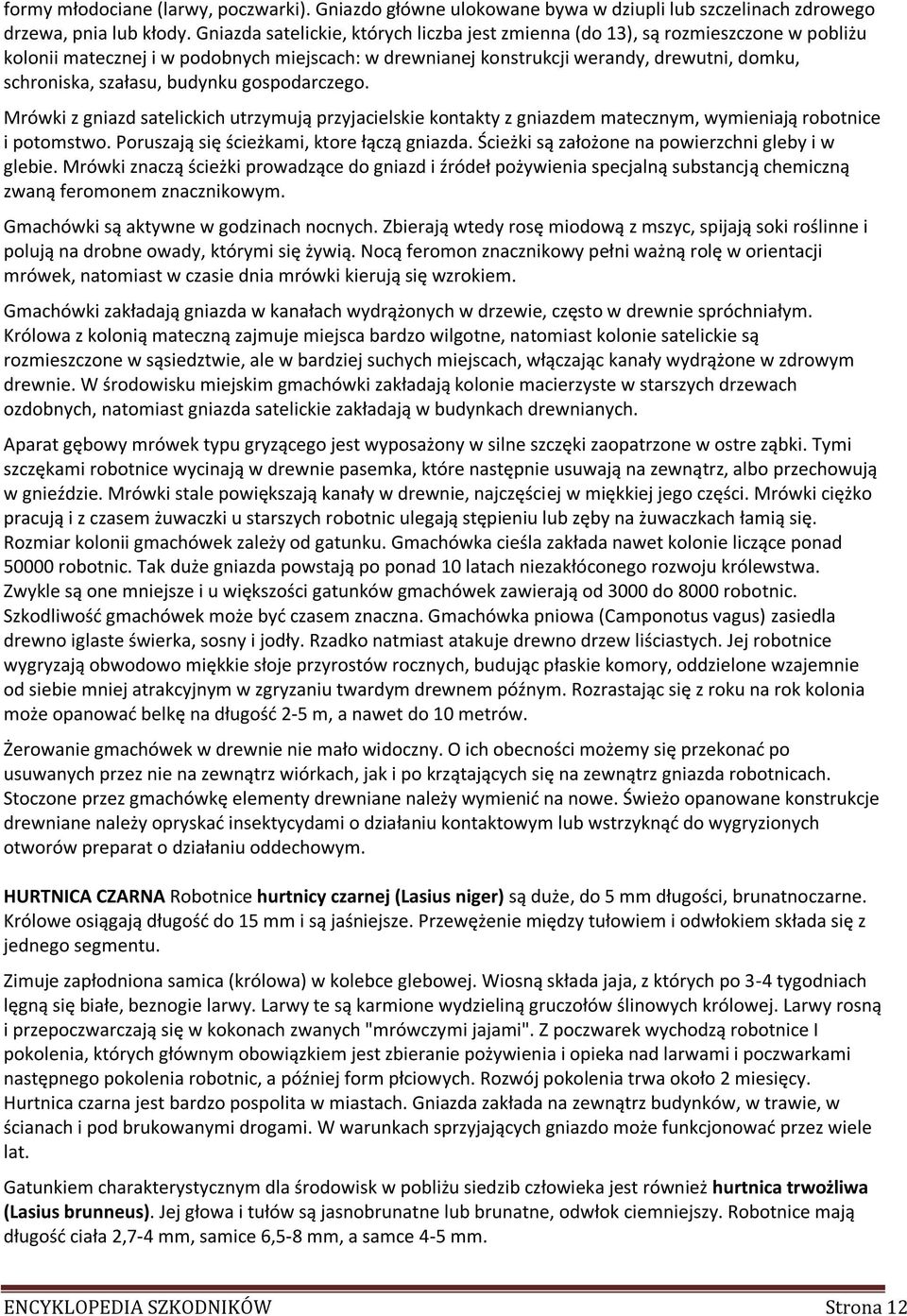 budynku gospodarczego. Mrówki z gniazd satelickich utrzymują przyjacielskie kontakty z gniazdem matecznym, wymieniają robotnice i potomstwo. Poruszają się ścieżkami, ktore łączą gniazda.