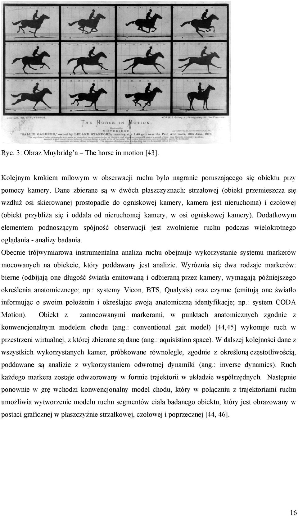 od nieruchomej kamery, w osi ogniskowej kamery). Dodatkowym elementem podnoszącym spójność obserwacji jest zwolnienie ruchu podczas wielokrotnego oglądania - analizy badania.