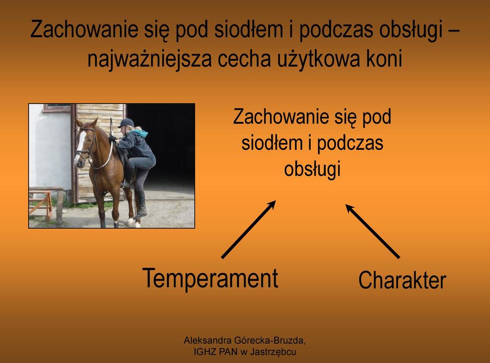 koni  obsługi Temperament Charakter