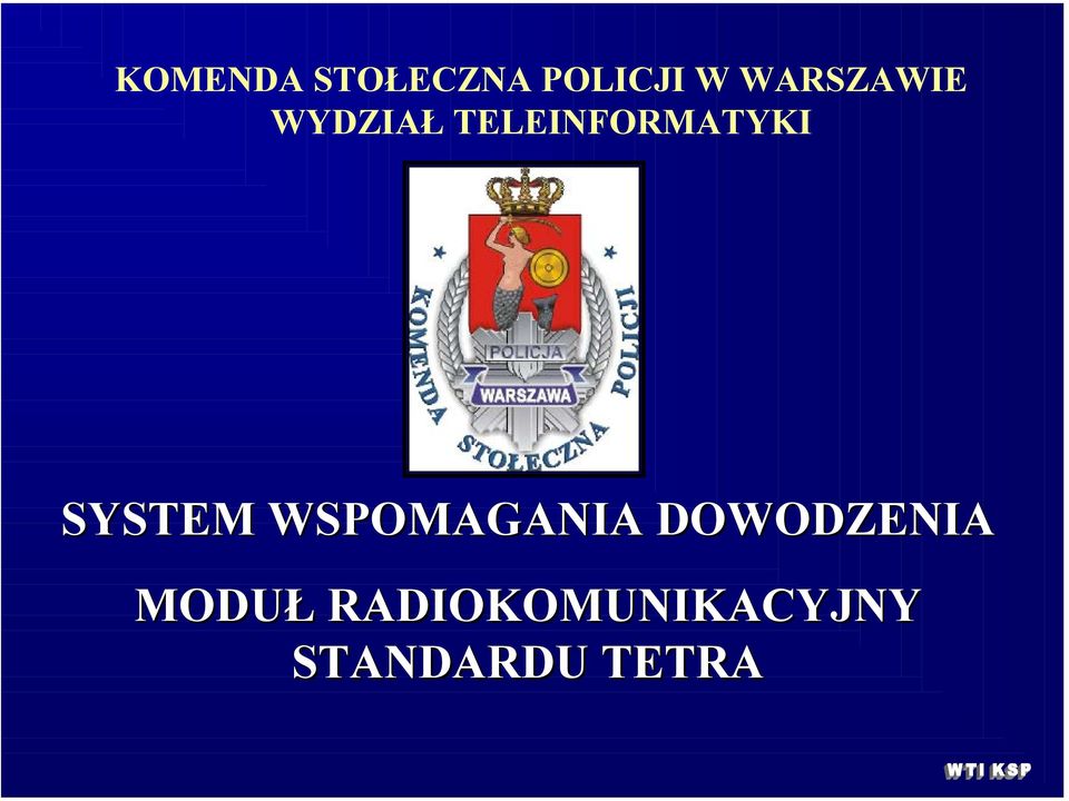 TELEINFORMATYKI SYSTEM